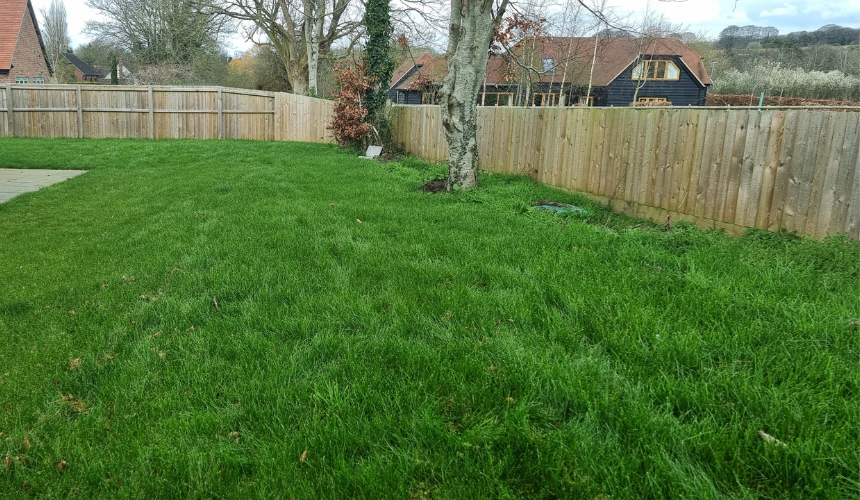 A typical new-build back garden in Dorset, featuring basic fencing and a standard blanket of turf—an uninspired starting point waiting for a creative transformation.