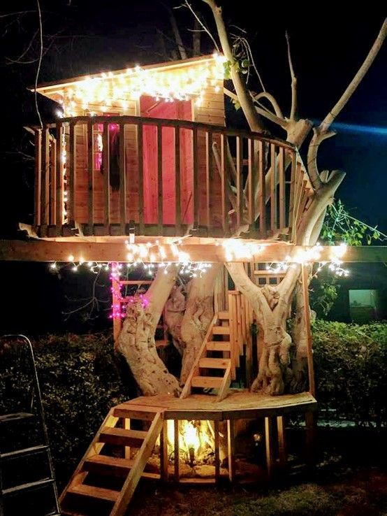 בית עץ על עץ