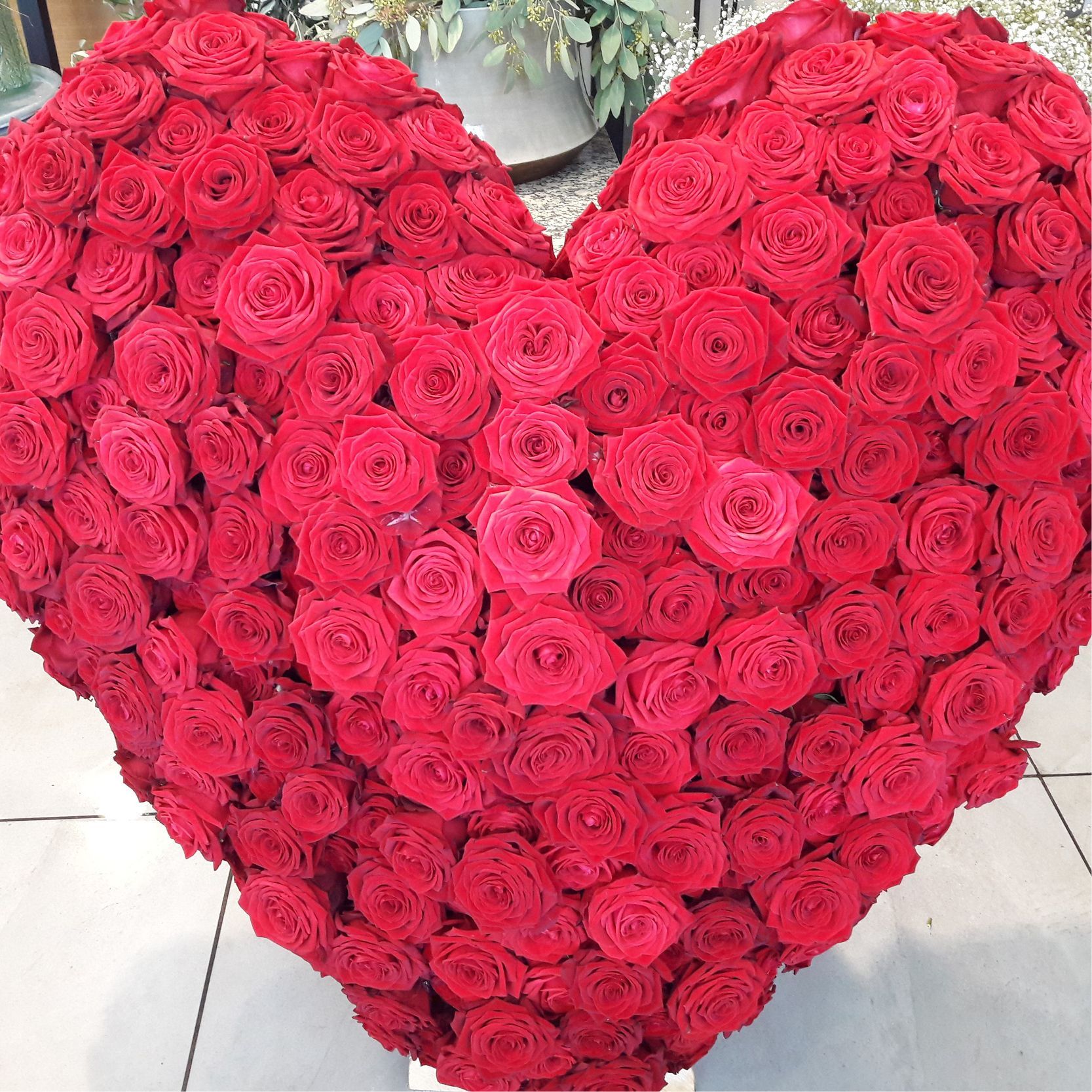 ein Herz aus vielen roten Rosen auf dem Boden