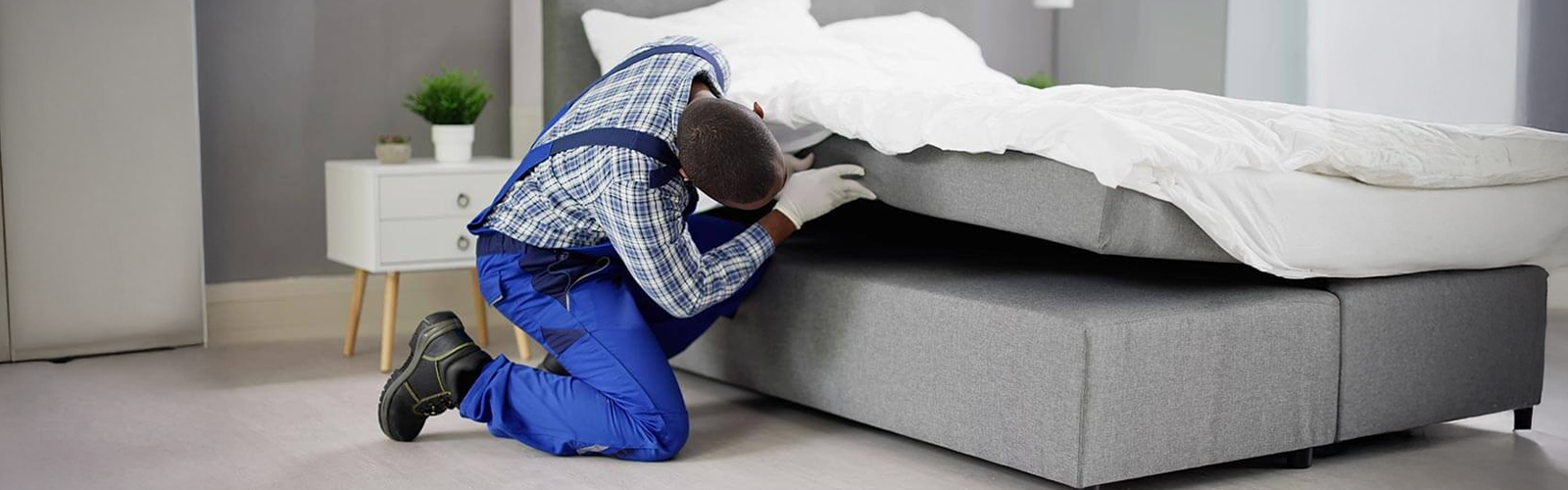 how-cleveland-weather-impacts-pest-infestation