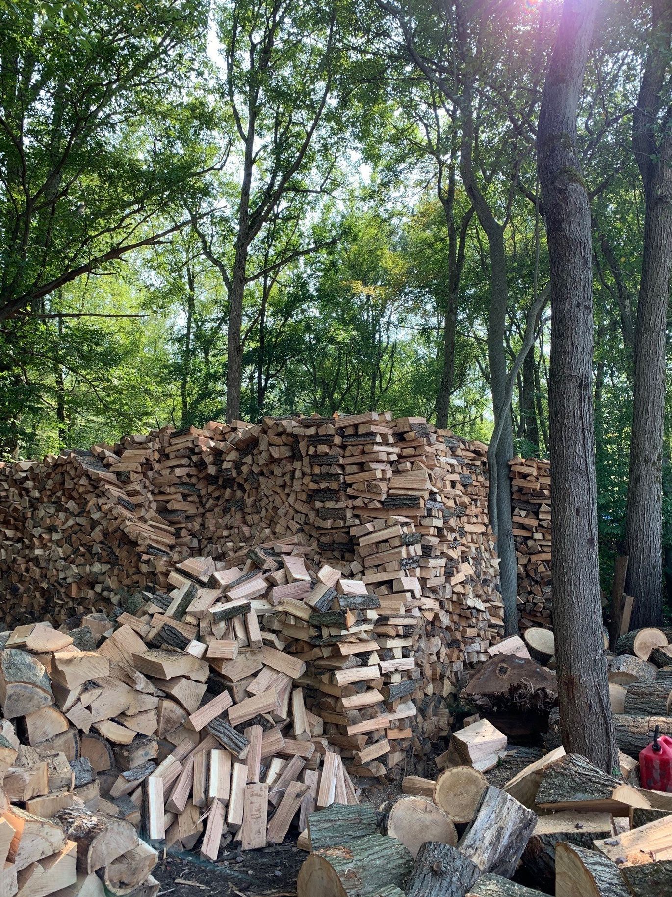 Firewood Reserve — Stacks of firewood in Succasunna, NJ