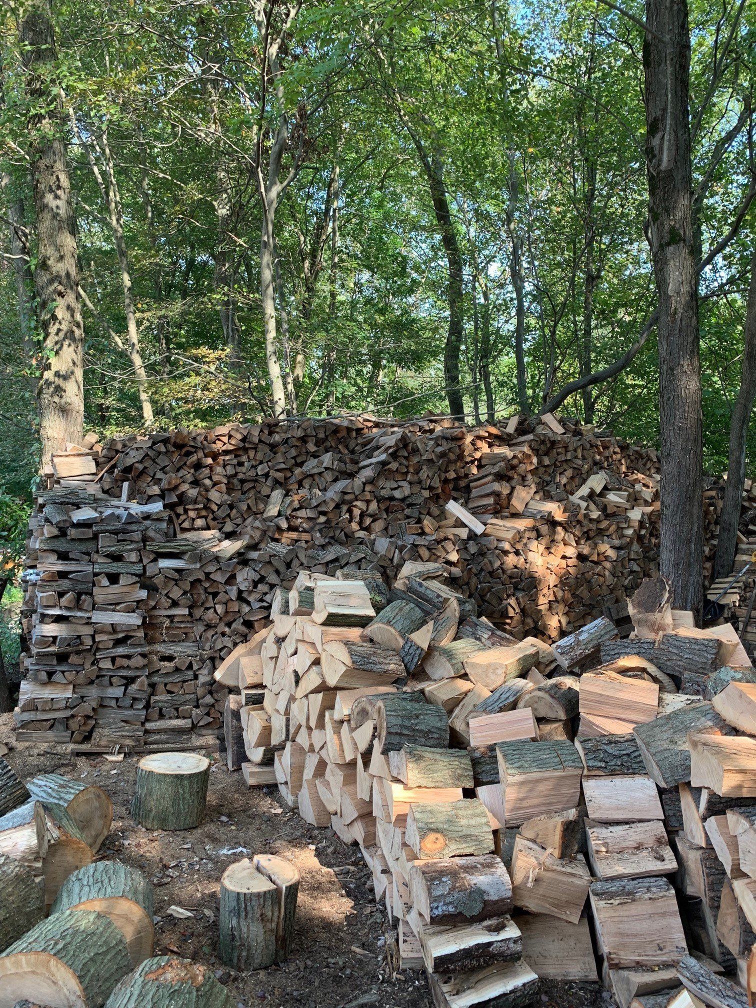 Firewood for Sale — Firewood in Succasunna, NJ