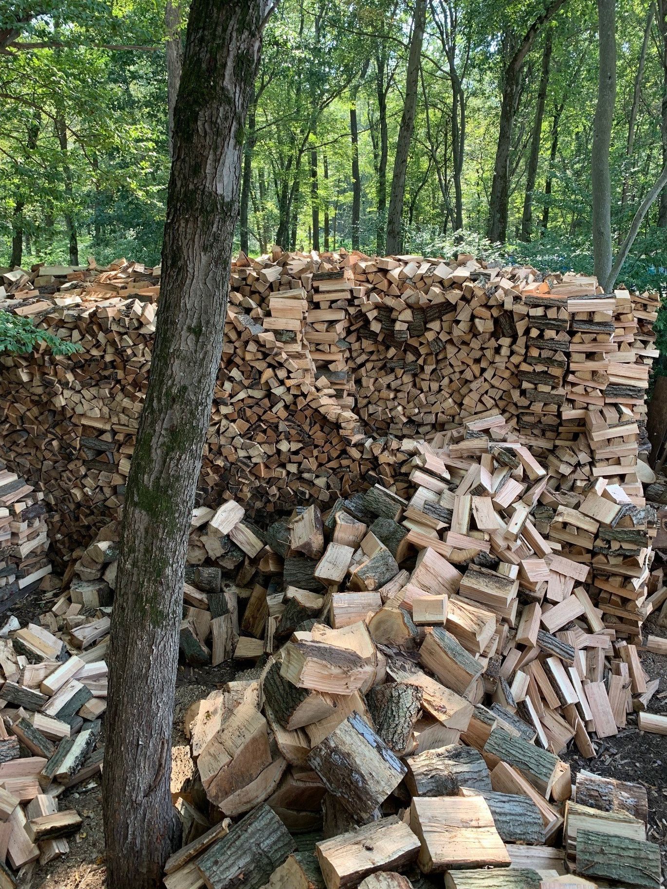 Stockpile of Wood — Firewood Stack in Succasunna, NJ