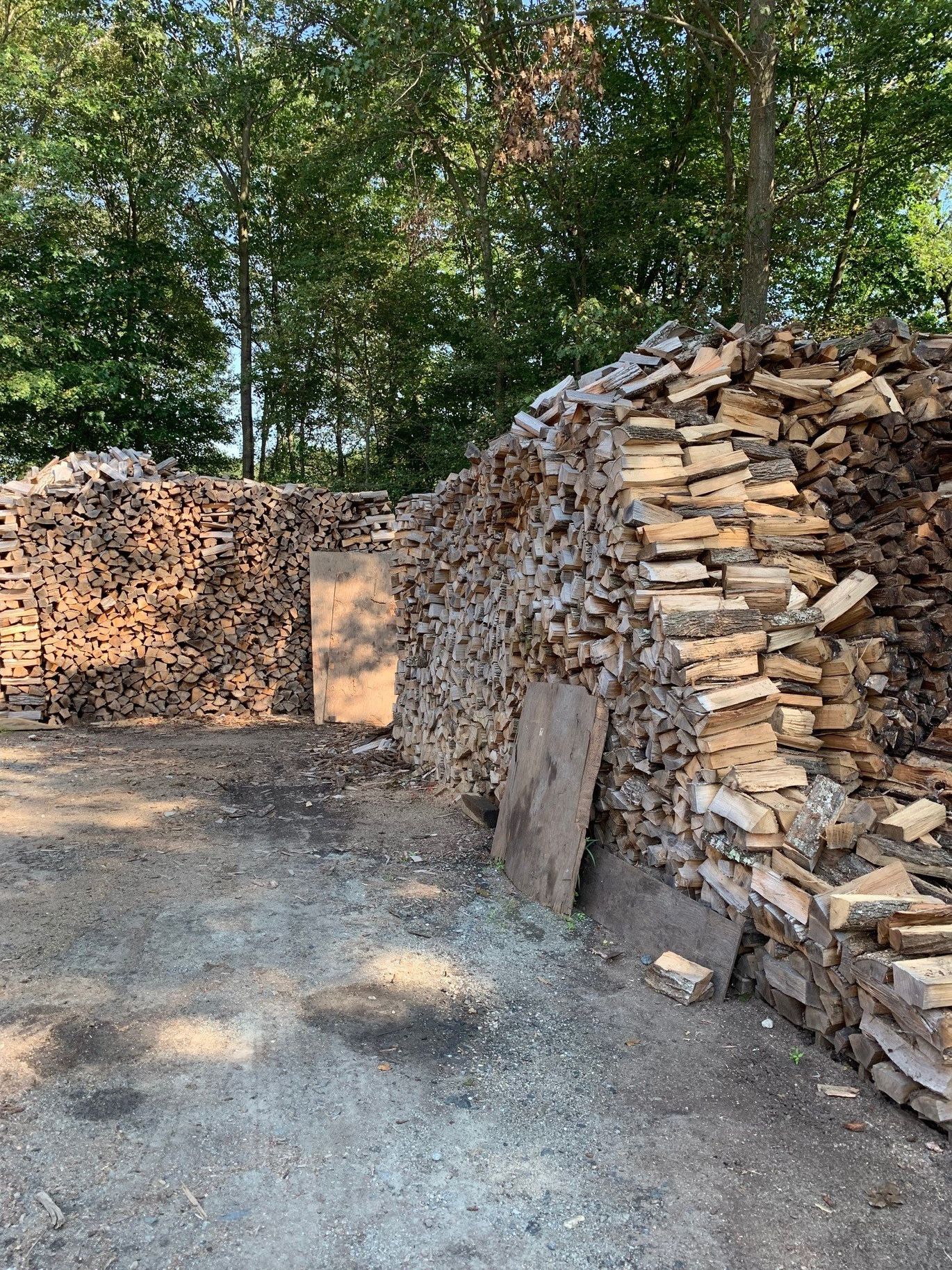 Wood Split Reserve — Piles upon piles of firewood in Succasunna, NJ