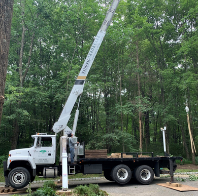 Tree Care — Arborist Cutting Branches in Succasunna, NJ