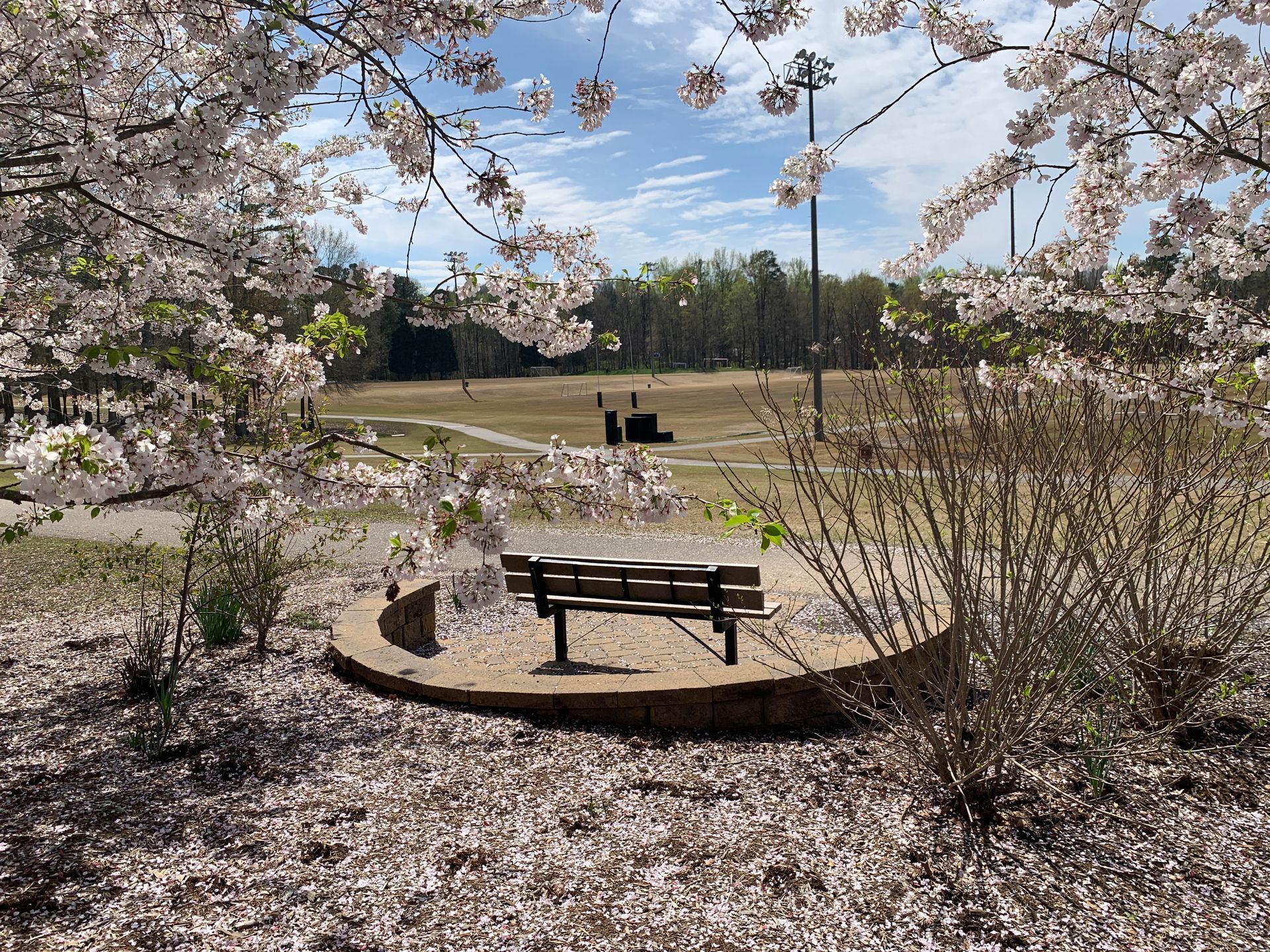 Bench looking out over beautiful Martha Rives Park in Gastonia