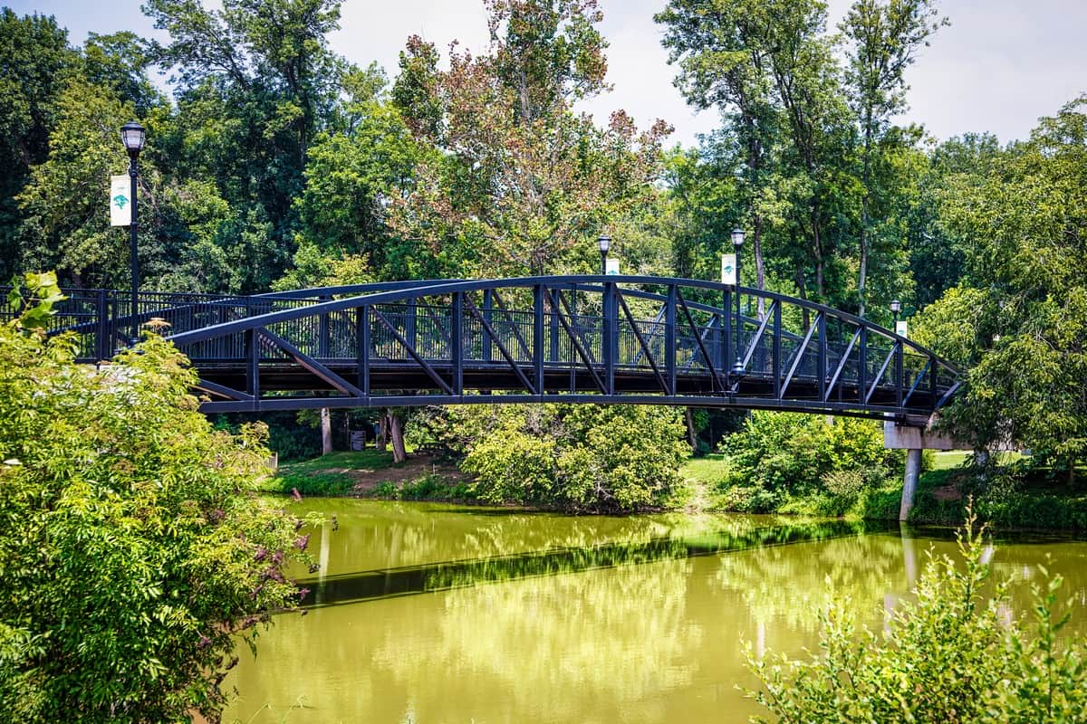 Around Town | Brookline Homes