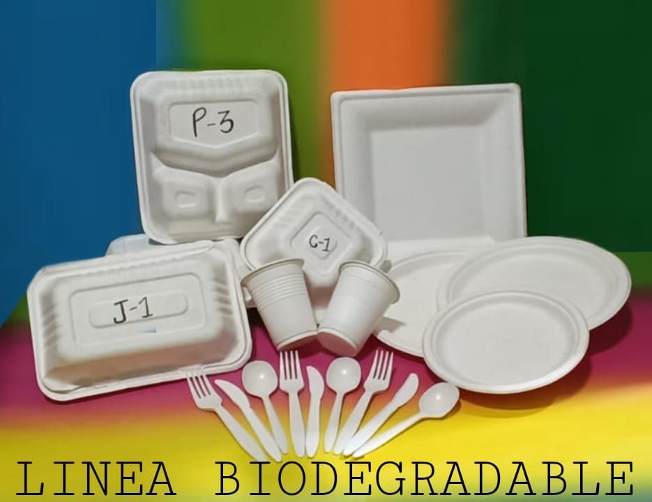 Una variedad de platos, vasos, tenedores y cucharas biodegradables.