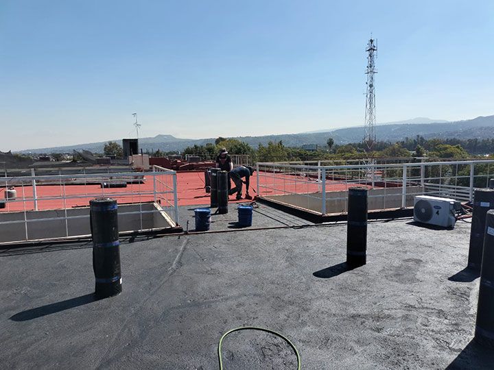 FESTER ARAGON-GRUPO LEO