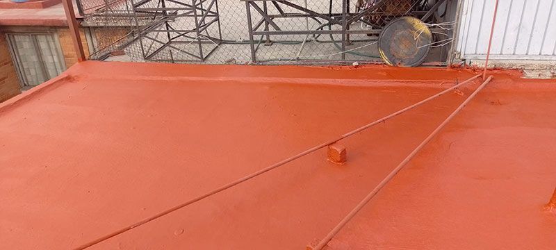 FESTER ARAGON-GRUPO LEO