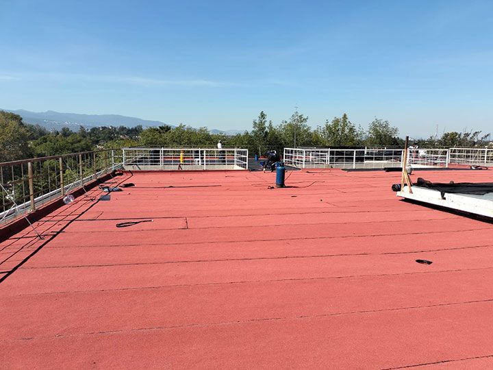 FESTER ARAGON-GRUPO LEO