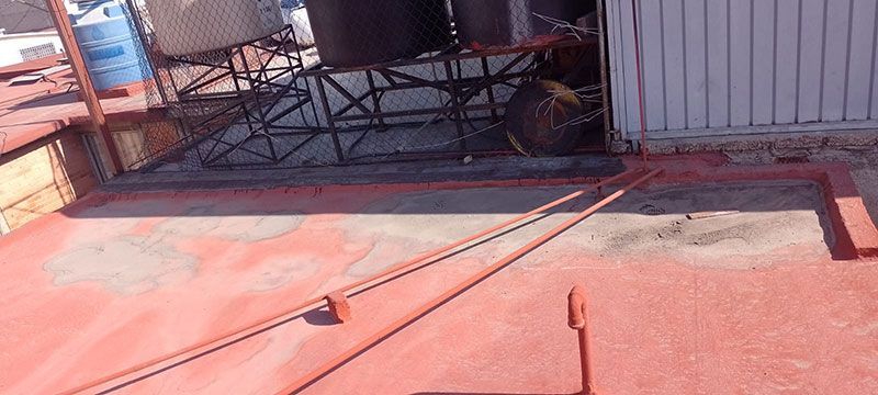 FESTER ARAGON-GRUPO LEO