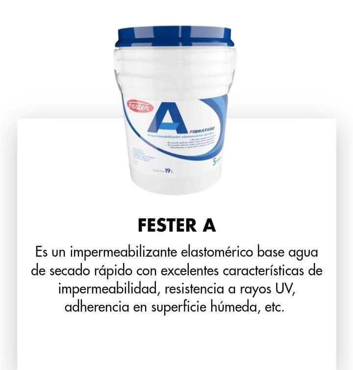 FESTER ARAGON-GRUPO LEO