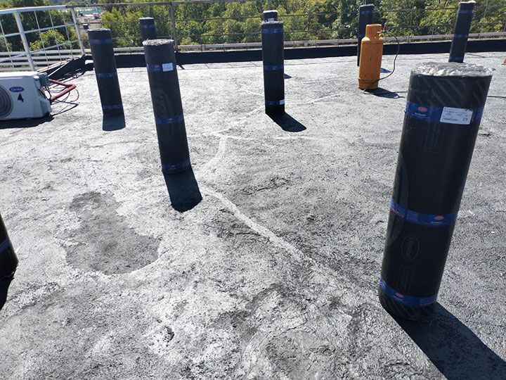 FESTER ARAGON-GRUPO LEO