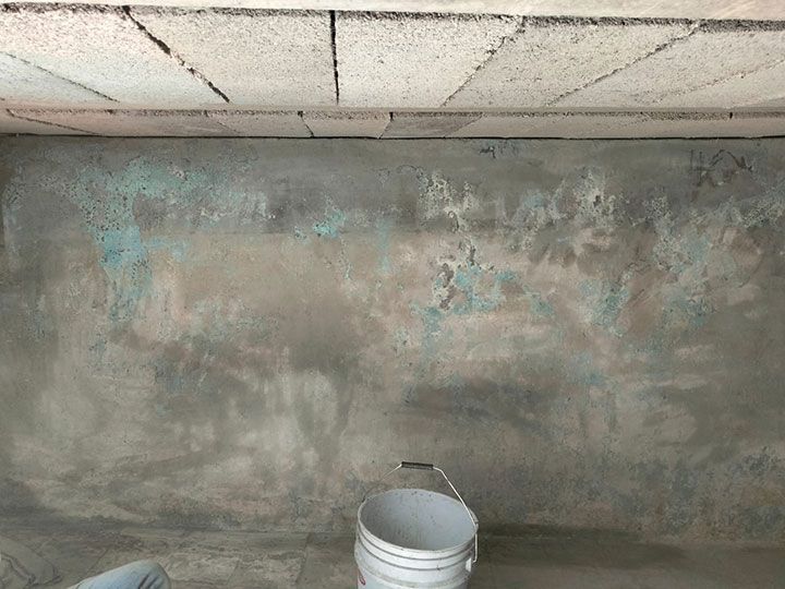 FESTER ARAGON-GRUPO LEO