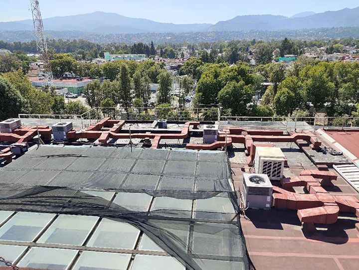 FESTER ARAGON-GRUPO LEO