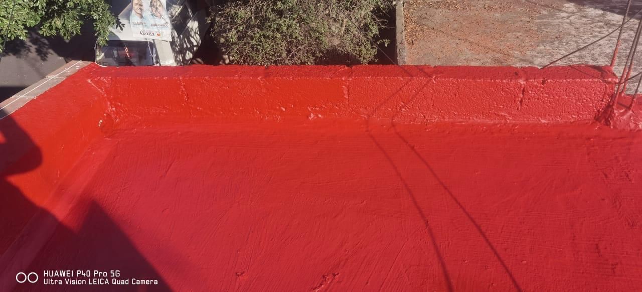 FESTER ARAGON-GRUPO LEO