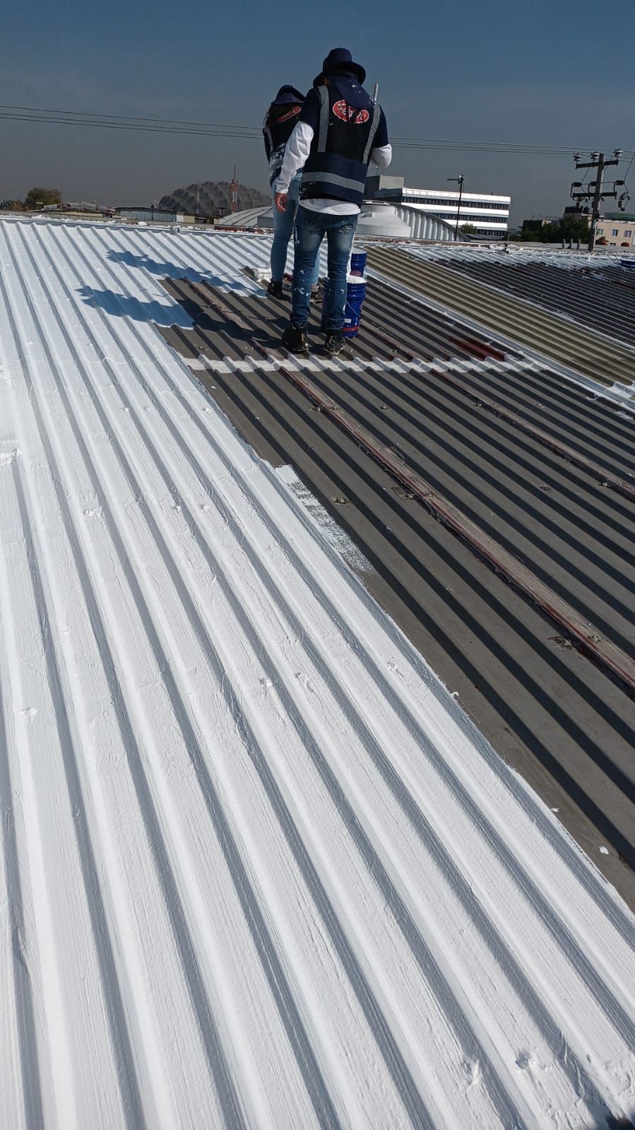 FESTER ARAGON-GRUPO LEO