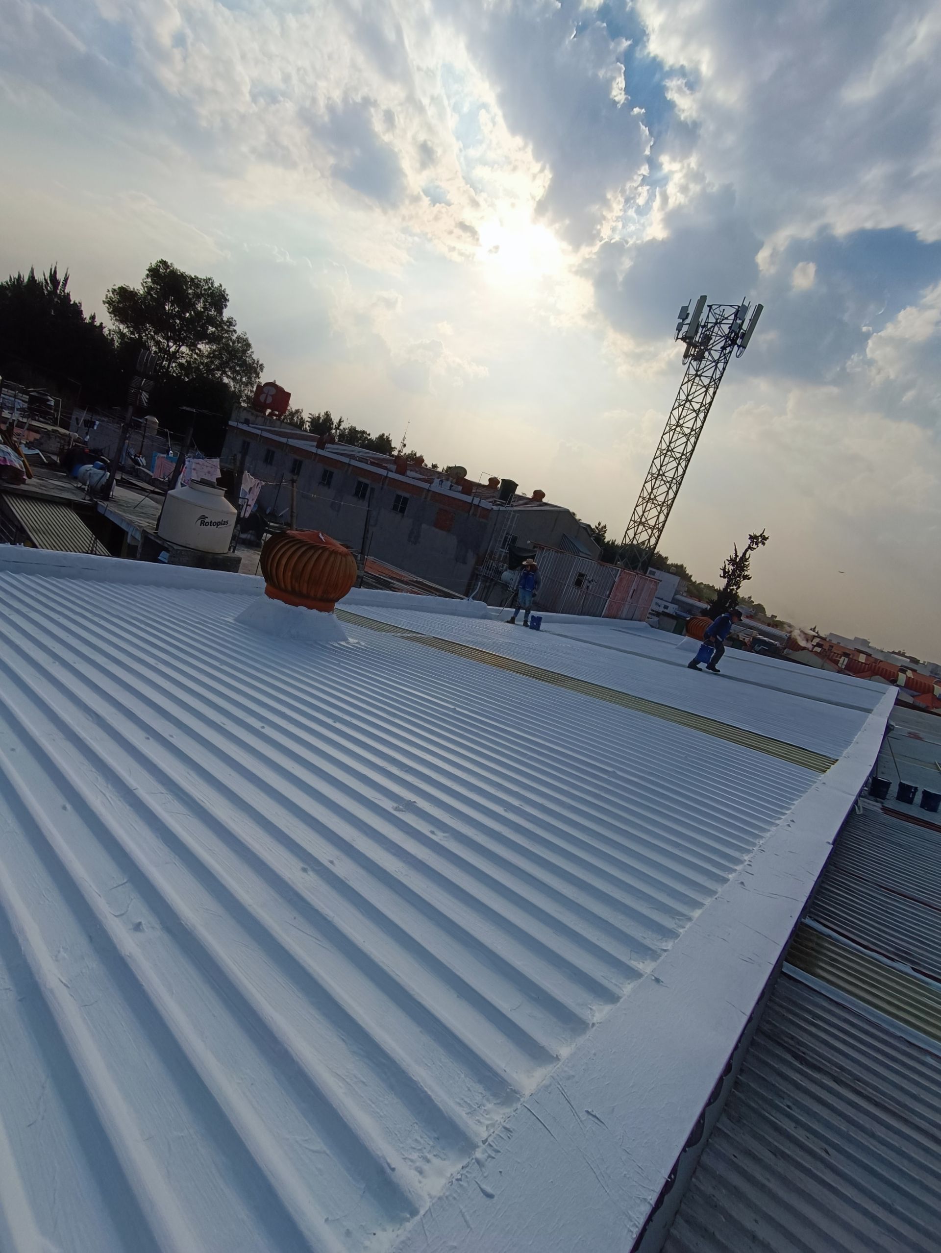 FESTER ARAGON-GRUPO LEO