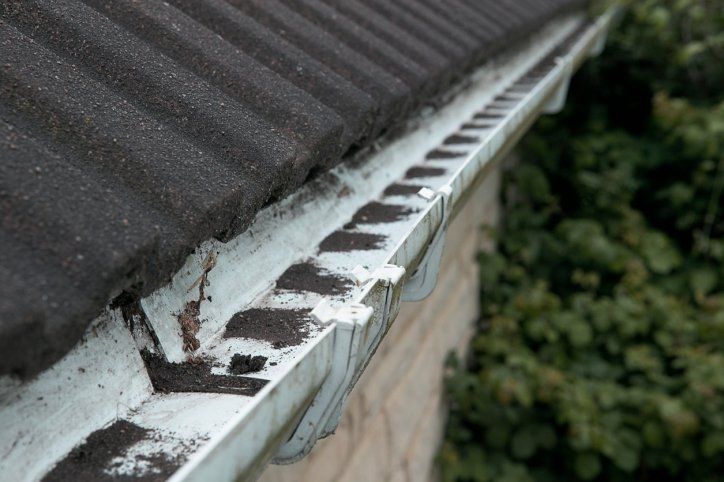 White Gutter with Dirt - Drain and Gutter services in Hicksville, NY