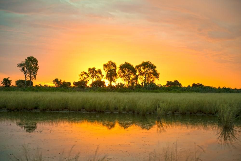 A Sunset Over A Swamp With Trees In The Foreground And A Body Of Water — Dunnrite Mareeba Sheds & Garages In Karumba, QLD