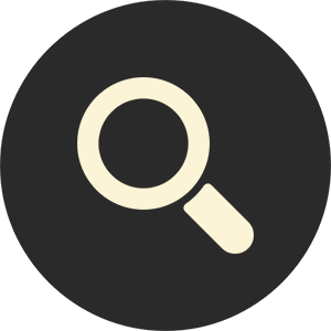 Magnifying Glass Icon