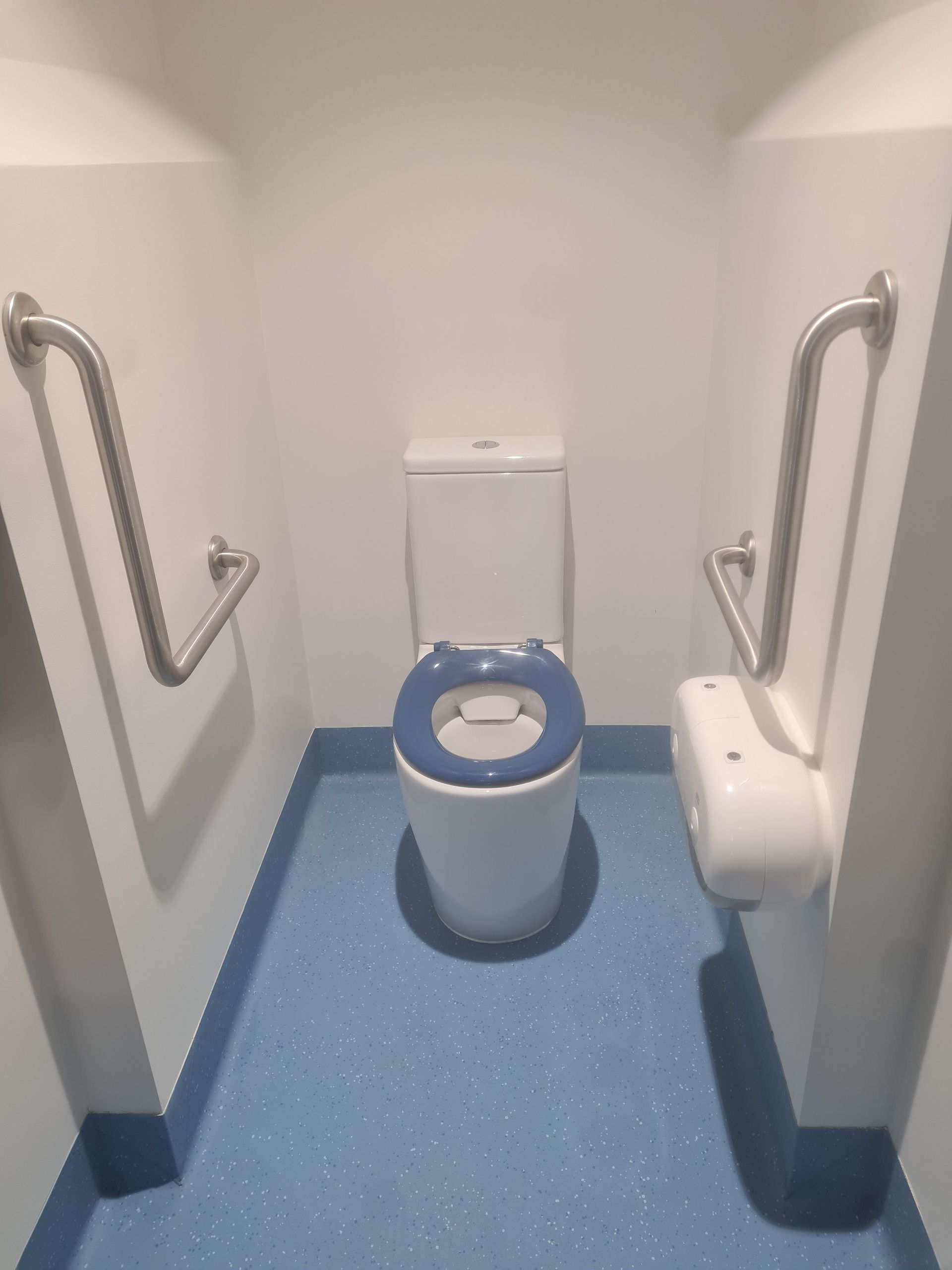 Bathroom With a Toilet — Derwent Park, TAS — Allen Built