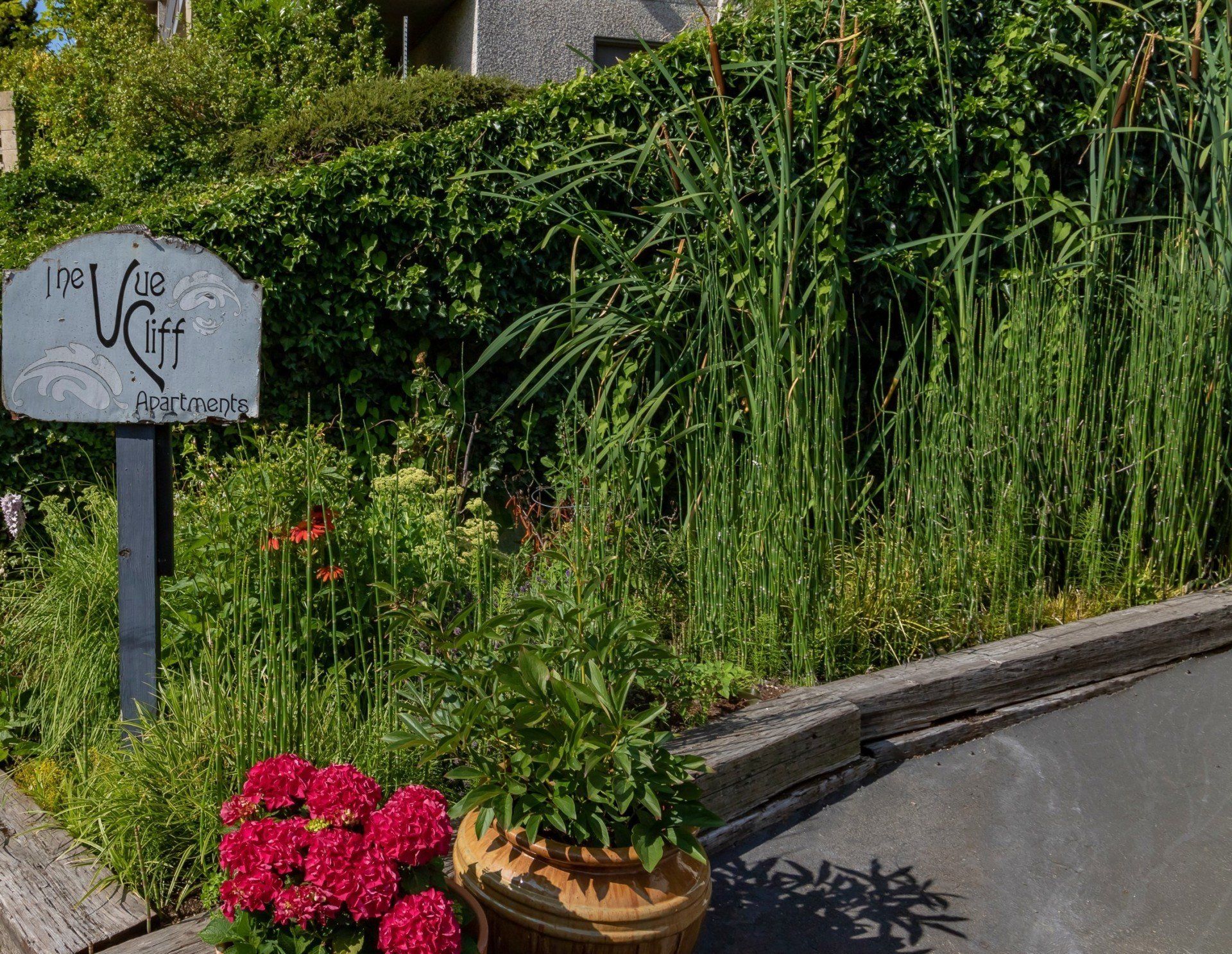 Vue Cliff Apartments