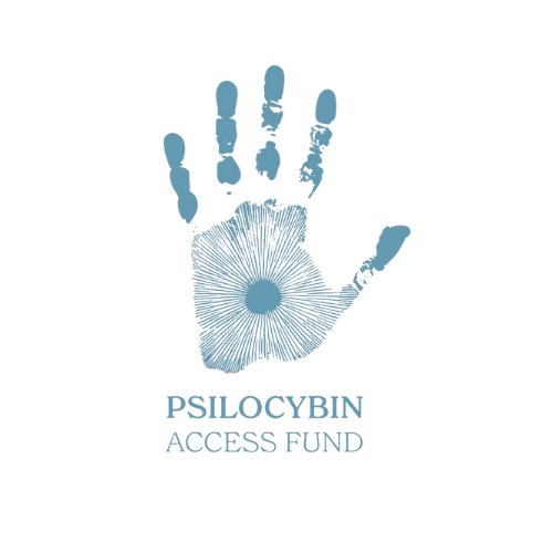 Horizons Sponsor and Ally logo