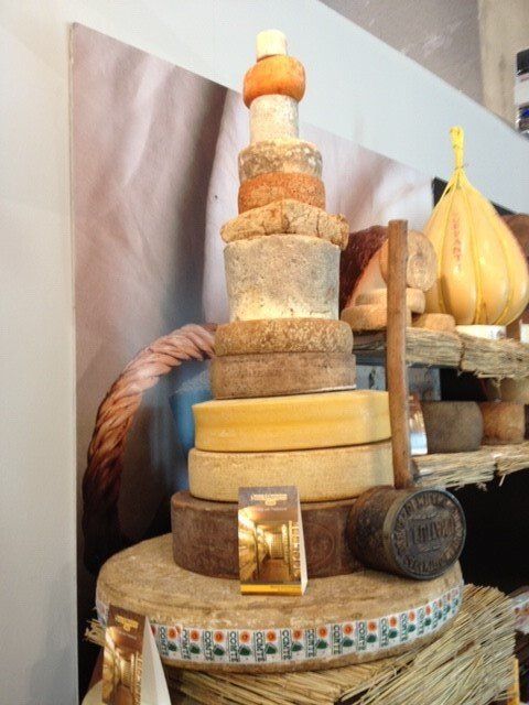 Selezione di formaggi stagionati