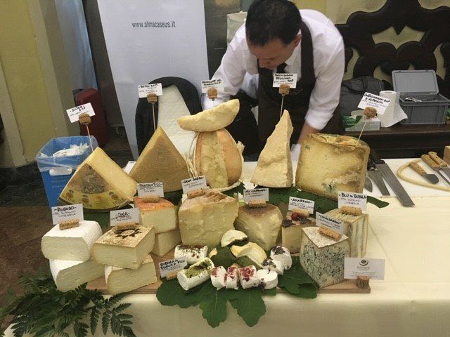 Formaggi in esposizione