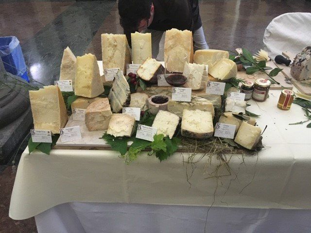 Varie tipologie di formaggio