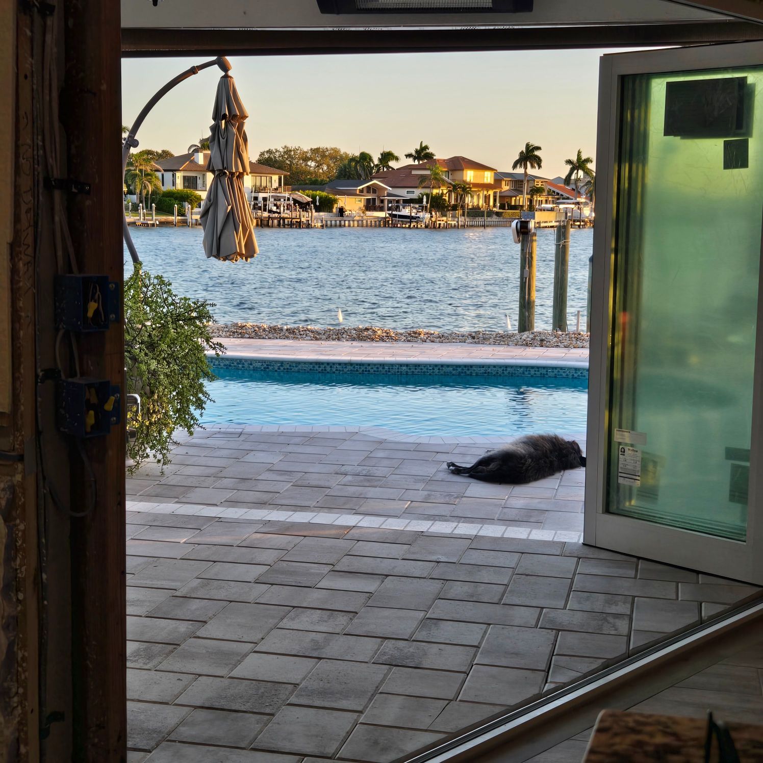 View of a waterfront pool and ocean through open doors; a seal rests near the pool.