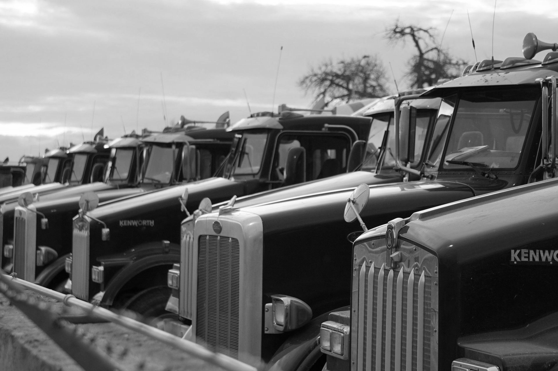 Row of black Kenworth semi-trucks parked outdoors, with chrome grills and antennas.
