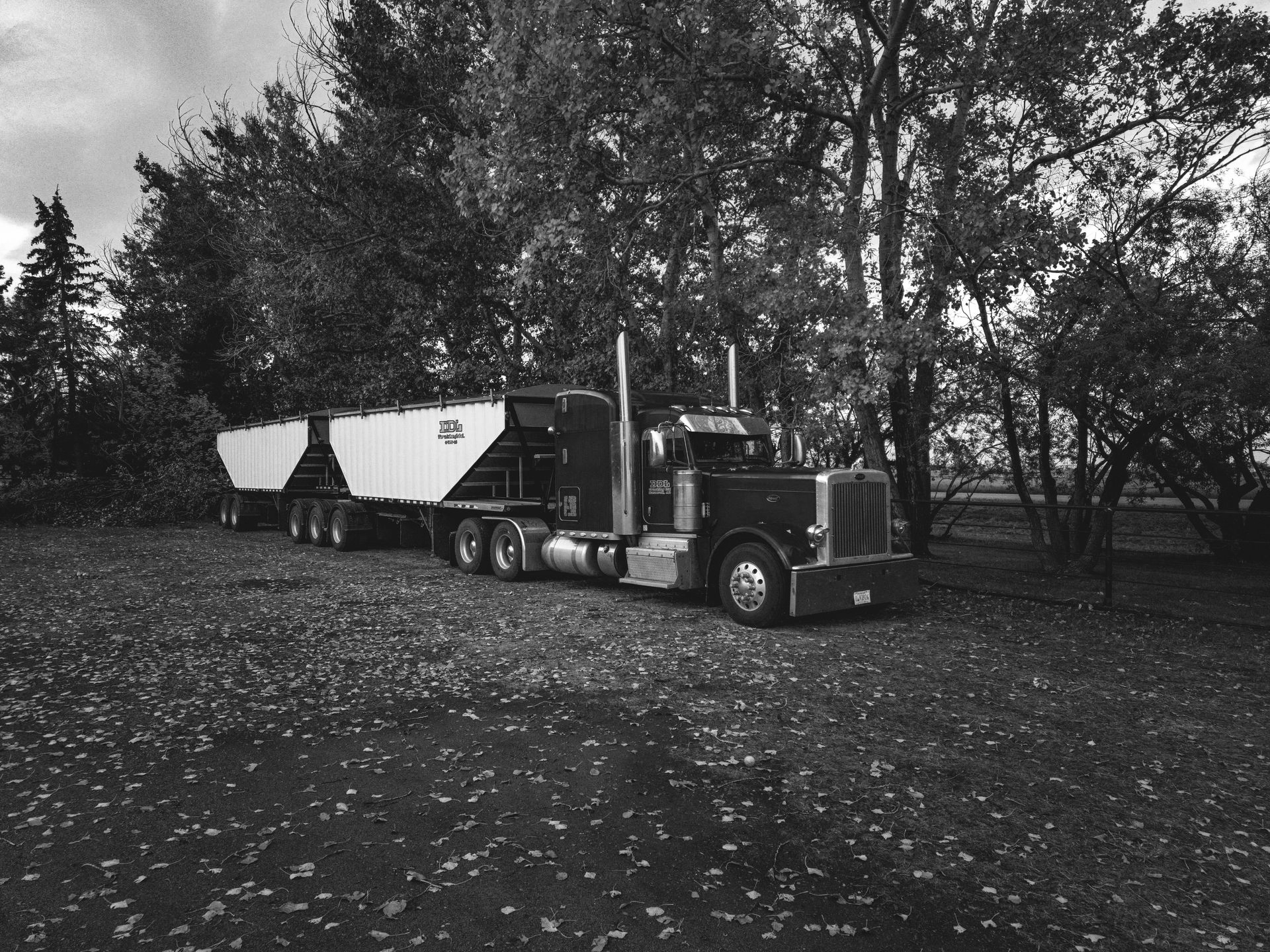 Black semi-truck with trailer parked on a leaf-covered lot near trees.