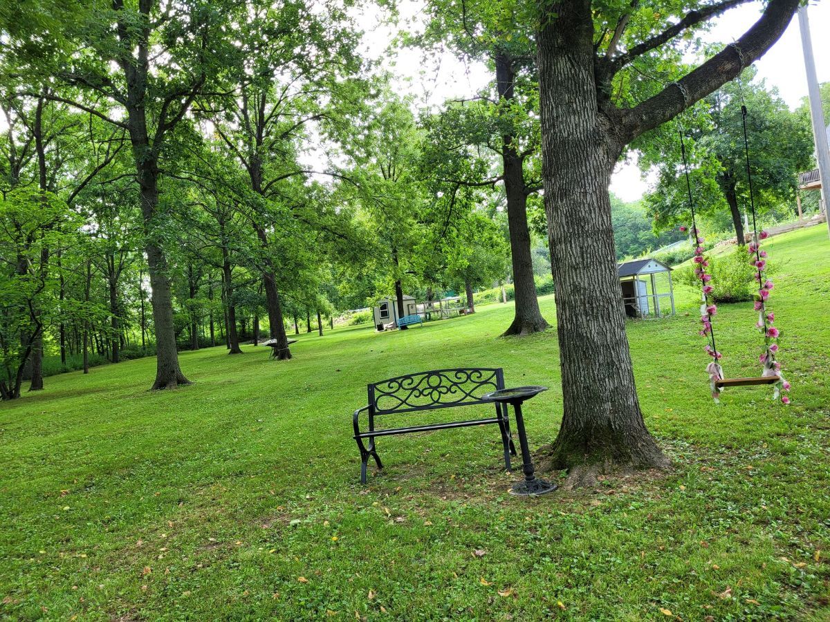 a bench and a swing hanging from a tree in our backyard