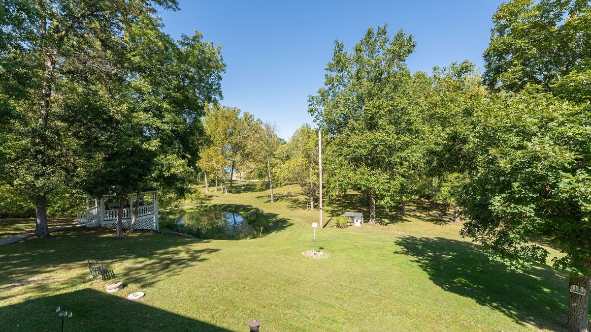 our lush green backyard