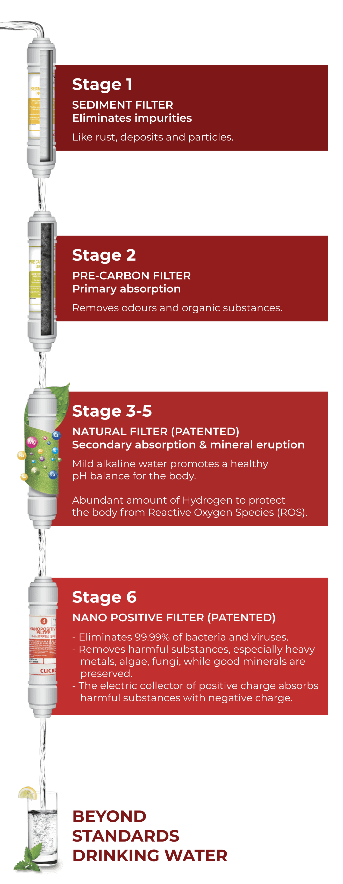 cuckoo-filtration-stages