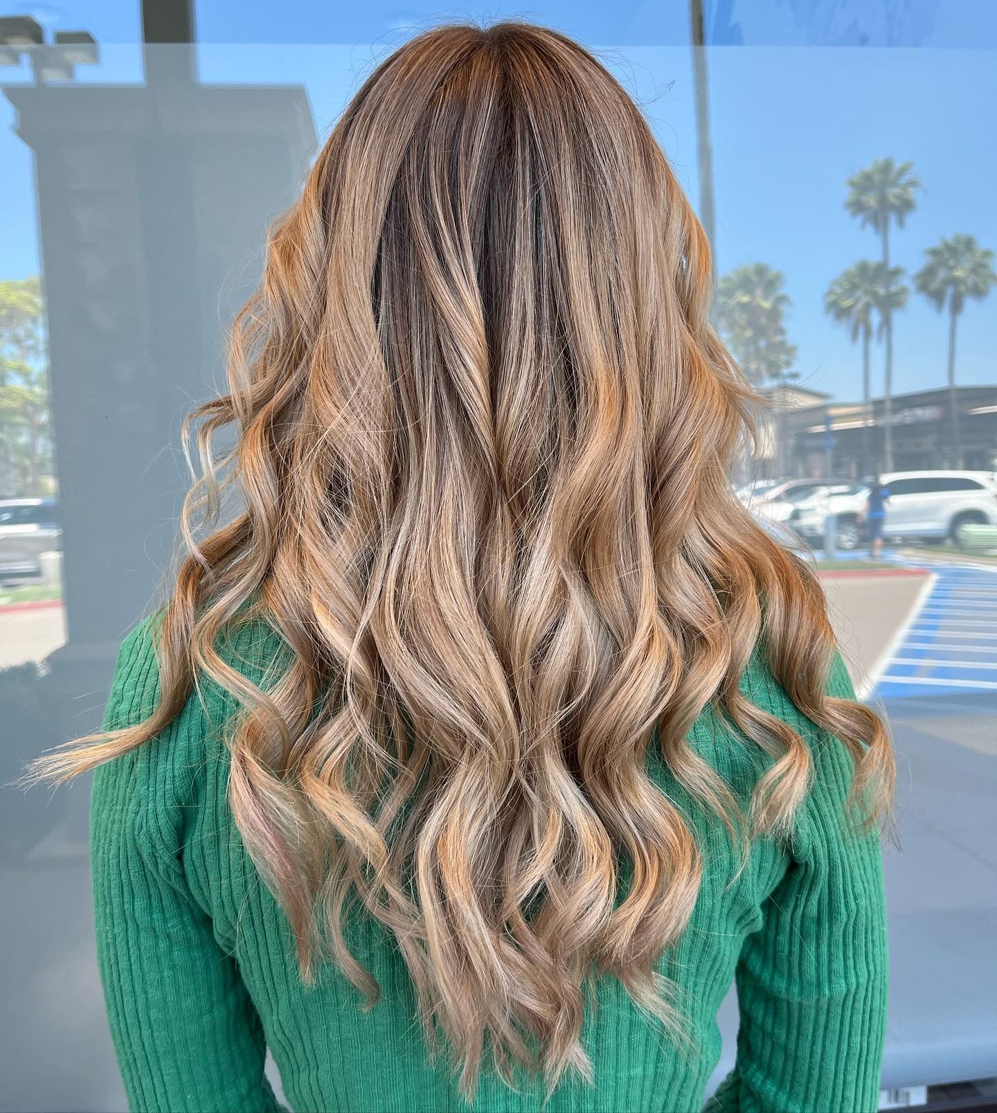 Woman with long, wavy, light brown hair wearing a green sweater. Background has palm trees and cars.