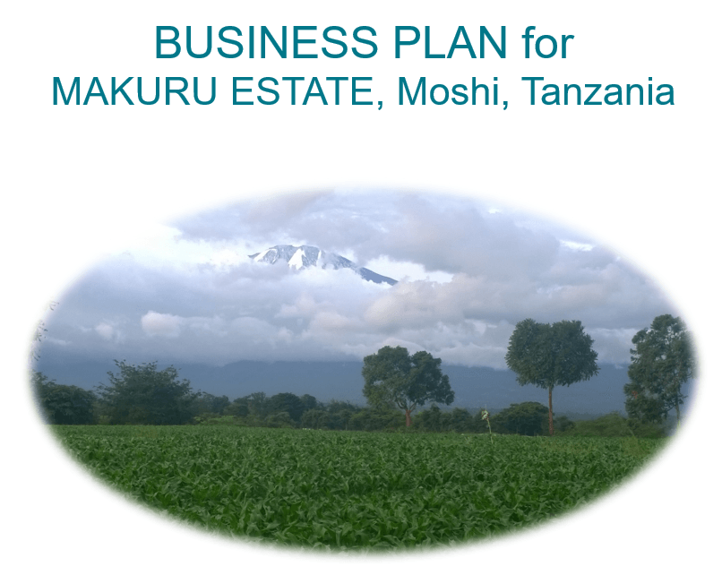 example of business plan in tanzania