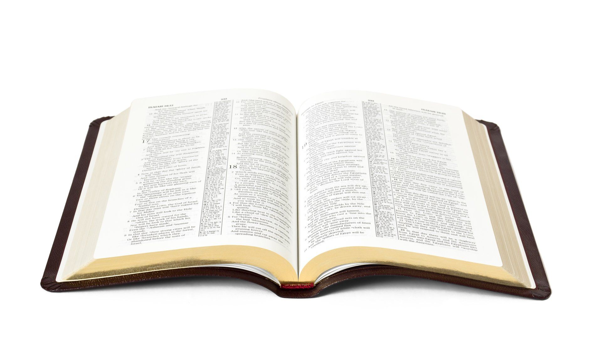 Holy Bible