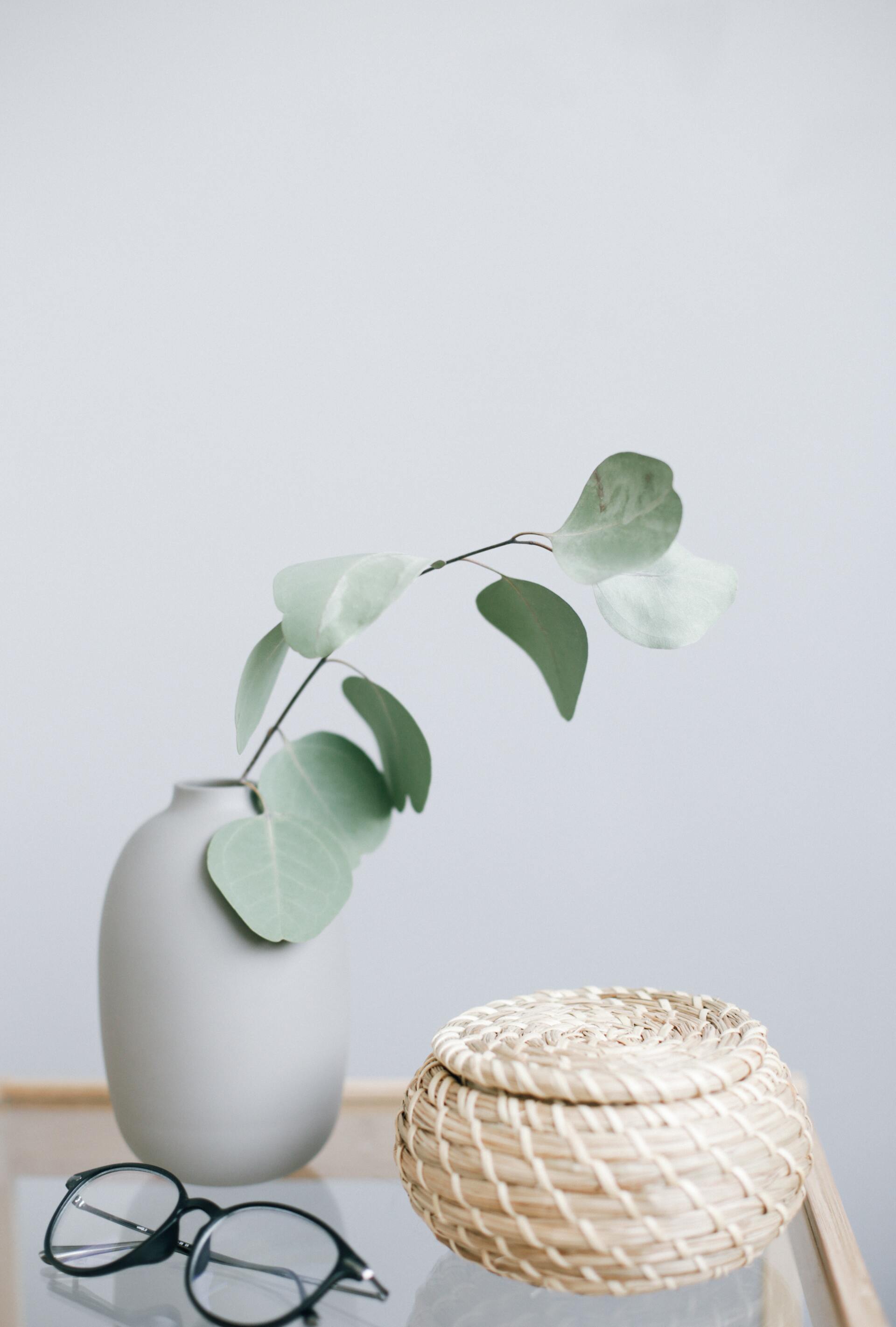 How To Style Indoor Plants Like A Pro