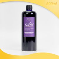 紫色洗髮精瓶標示「Silver」，紫白色標籤，容量 500ml。