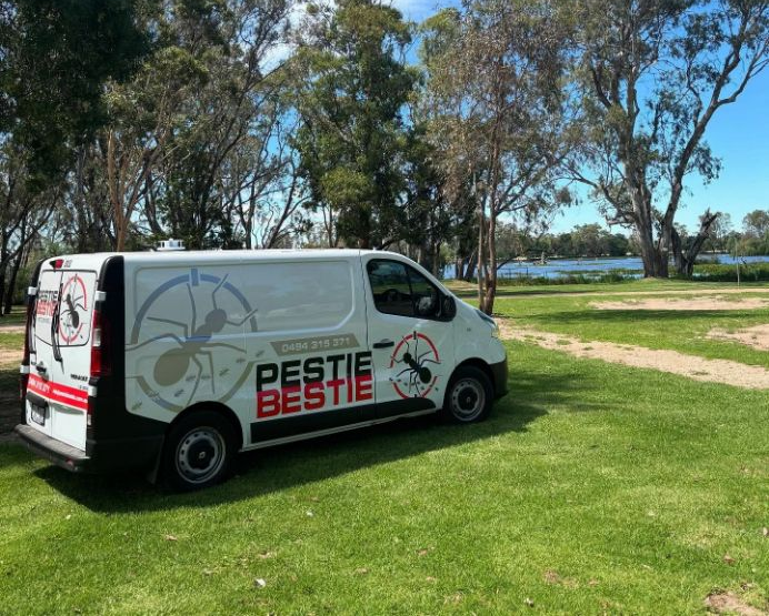 A White Van Parked on A Grassy Area — Pestie Bestie Pest Control In Shepparton, VIC