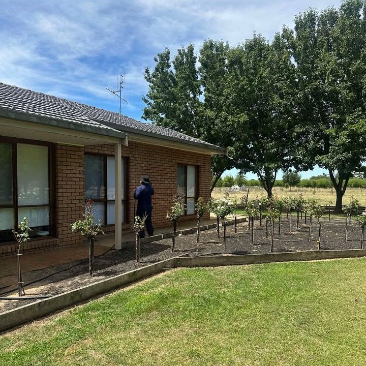 Brick House with Person Earing Gears — Pestie Bestie Pest Control In Shepparton, VIC