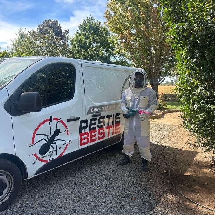 Pest Control Worker in Protective Suit Standing Next to A Van  — Pestie Bestie Pest Control In Shepparton, VIC