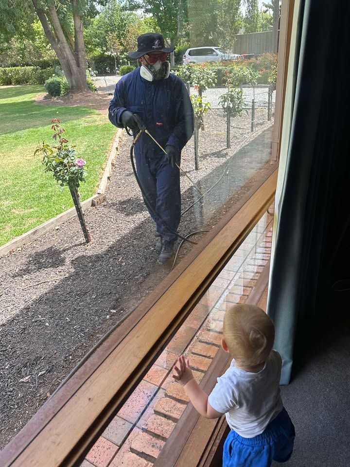 A Person in Protective Gear Spraying Outside — Pestie Bestie Pest Control In Shepparton, VIC