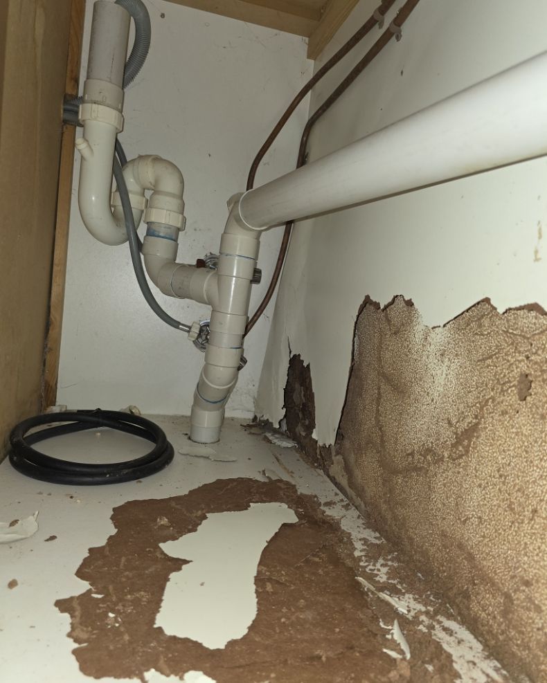 Termite Tunnels on Weathered Wood — Pestie Bestie Pest Control In Shepparton, VIC