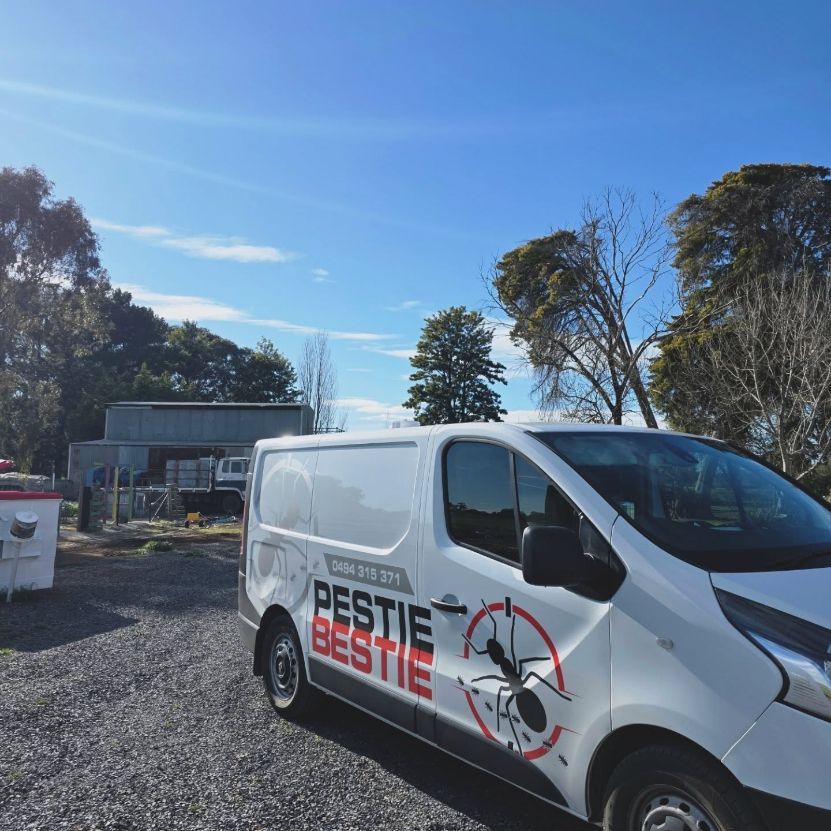White Pestie Bestie Van Parked in A Gravel Lot — Pestie Bestie Pest Control In Shepparton, VIC