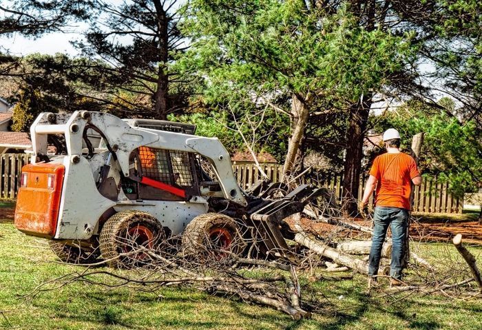 Skid-steer loader clearing fallen branches while a worker in orange stands nearby in a yard